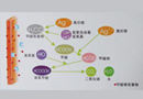 一不小心“醛”中毒，甲醛危害、症状你知道吗